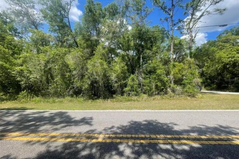 Land in Webster, Florida № 2159489 - photo 4