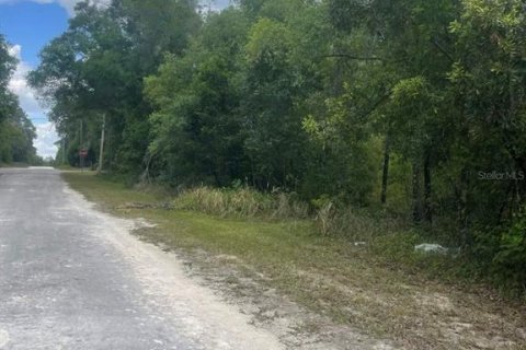 Land in Webster, Florida № 2159489 - photo 6