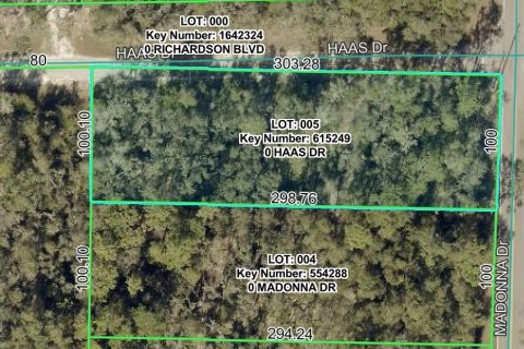 Land in Webster, Florida № 2159489