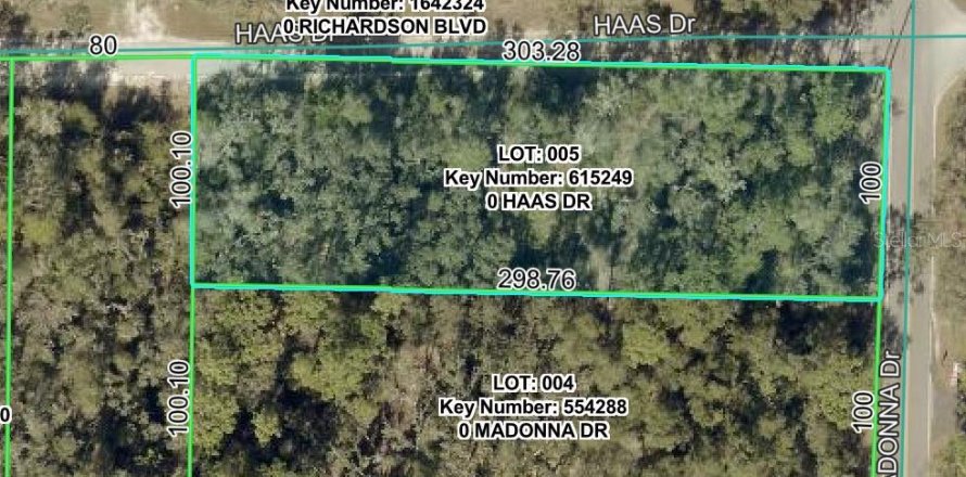 Land in Webster, Florida № 2159489
