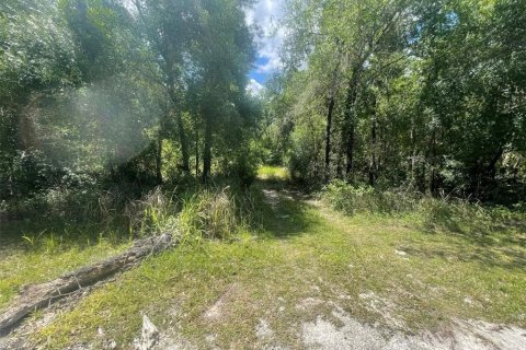 Land in Webster, Florida № 2159489 - photo 2