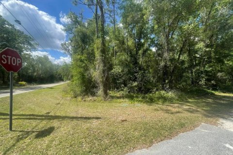 Land in Webster, Florida № 2159489 - photo 3
