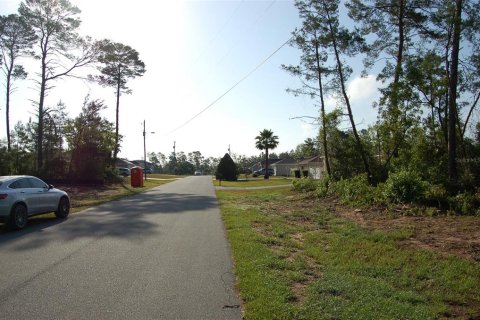 Land in Ocala, Florida № 1718281 - photo 4