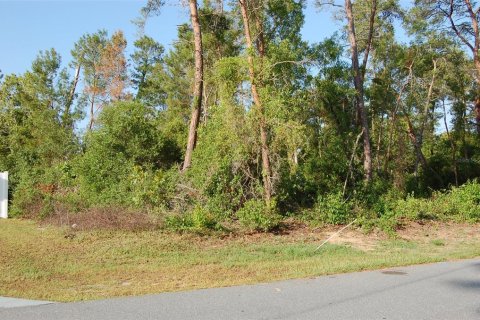 Land in Ocala, Florida № 1718281 - photo 7