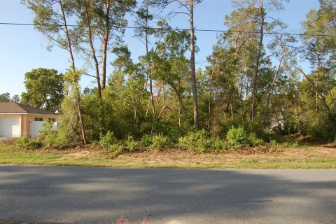 Land in Ocala, Florida № 1718281 - photo 2