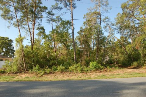 Land in Ocala, Florida № 1718281 - photo 1