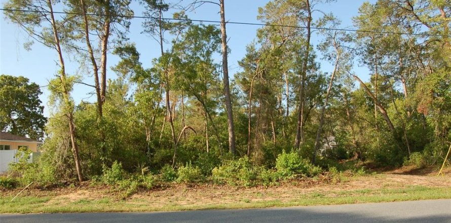 Land in Ocala, Florida № 1718281