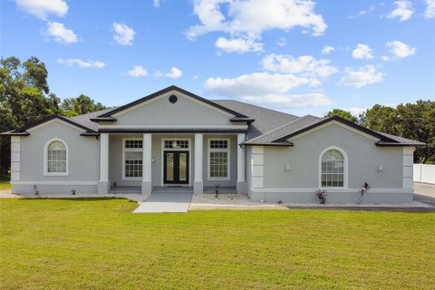 House in Wesley Chapel, Florida 3 bedrooms, 332.4 sq.m. № 1866754 - photo 1