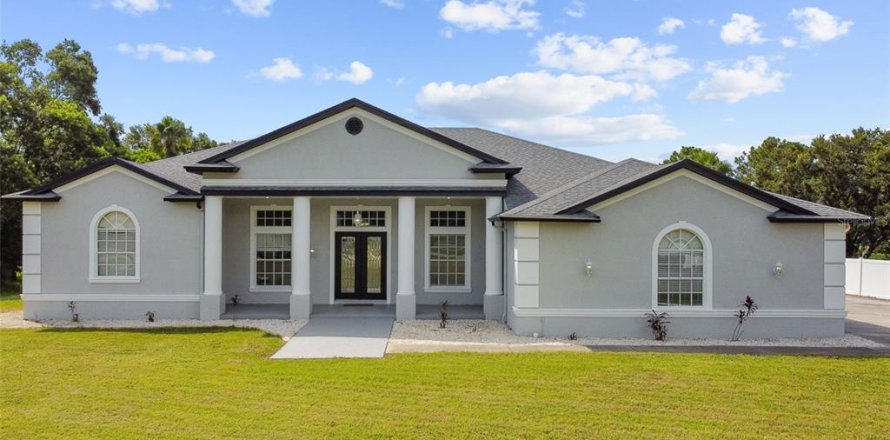House in Wesley Chapel, Florida 3 bedrooms, 332.4 sq.m. № 1866754