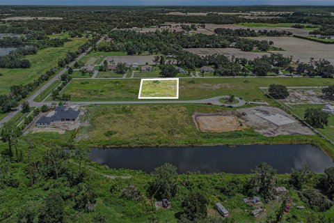 Land in Dover, Florida № 1901107 - photo 4