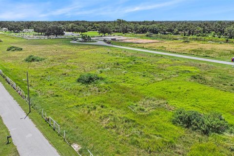 Land in Dover, Florida № 1901107 - photo 12
