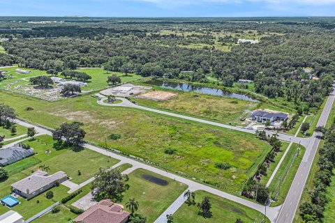 Land in Dover, Florida № 1901107 - photo 11