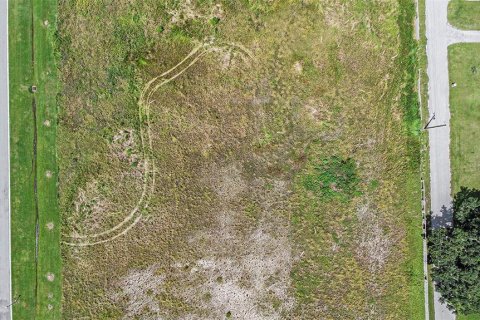 Land in Dover, Florida № 1901107 - photo 8