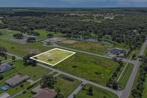 Land in Dover, Florida № 1901107 - photo 6