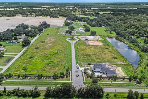 Land in Dover, Florida № 1901107 - photo 3