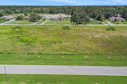 Land in Dover, Florida № 1901107 - photo 9