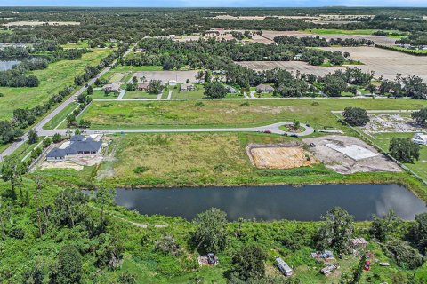 Land in Dover, Florida № 1901107 - photo 10