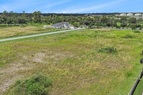 Land in Dover, Florida № 1901107 - photo 5