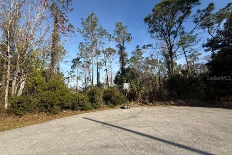 Land in Palm Coast, Florida № 2118776 - photo 2