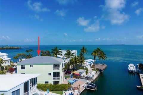 Villa ou maison à vendre à Tavernier, Floride: 4 chambres, 233 m2 № 1955779 - photo 2