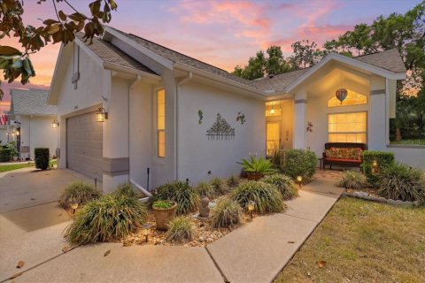 Villa ou maison à Inverness, Floride 2 chambres, 151.71 m2 № 2094176