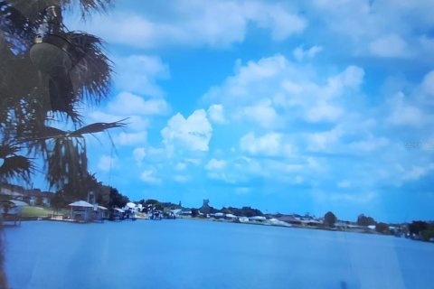 Land in Port Charlotte, Florida № 2221621 - photo 2