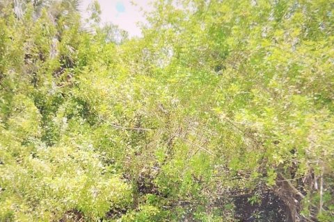 Terreno en Port Charlotte, Florida № 2221621