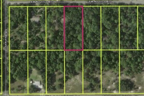 Land in Dunnellon, Florida № 2161713 - photo 2