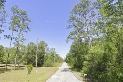 Land in Dunnellon, Florida № 2161713 - photo 10