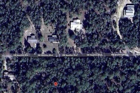 Land in Dunnellon, Florida № 2161713 - photo 4