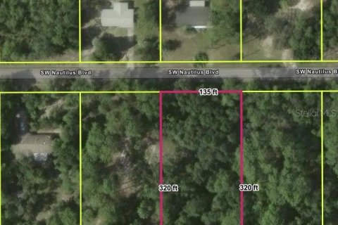 Land in Dunnellon, Florida № 2161713 - photo 3