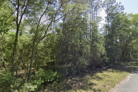 Land in Dunnellon, Florida № 2161713 - photo 8