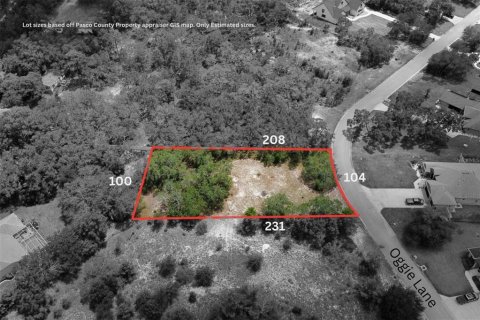 Terrain à vendre à Hudson, Floride № 1843661 - photo 6