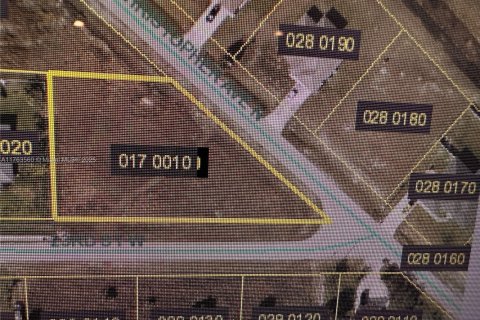 Land in Lehigh Acres, Florida № 1715894 - photo 4