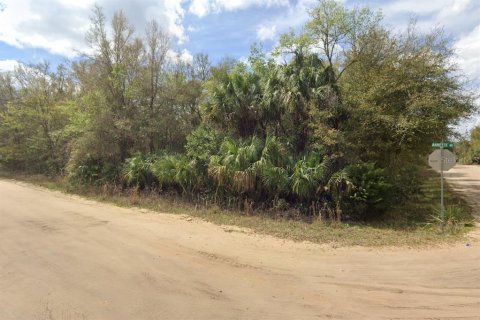 Terrain à vendre à Interlachen, Floride № 2223884 - photo 3