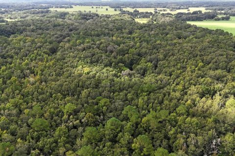 Купить коммерческую недвижимость в Уиллистон, Флорида 832.4м2, № 1536023 - фото 19