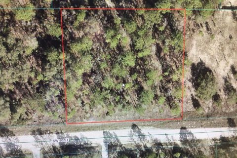 Land in Dunnellon, Florida № 2202103