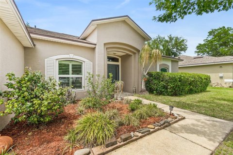 Villa ou maison à Palm Coast, Floride 3 chambres, 217.3 m2 № 2107565