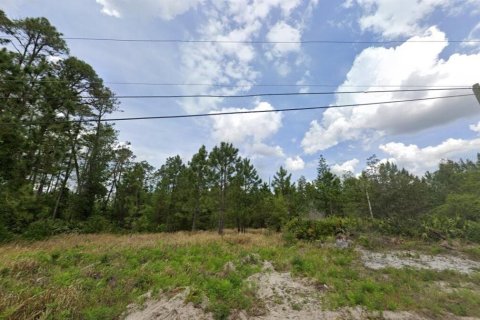 Terrain à DeLand, Floride № 2164007