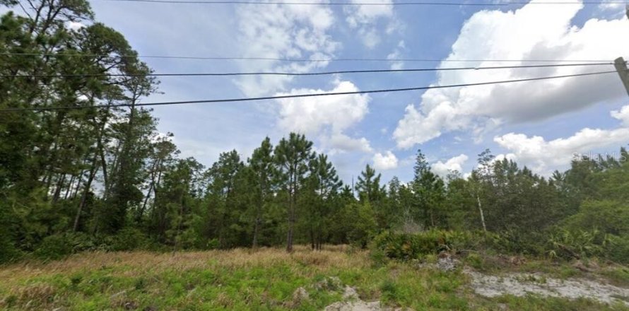 Land in DeLand, Florida № 2164007