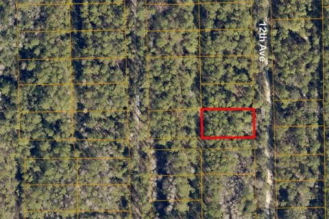 Land in DeLand, Florida № 2164007 - photo 2