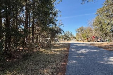Land in Dunnellon, Florida № 2162489 - photo 10