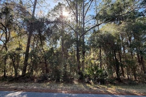 Land in Dunnellon, Florida № 2162489 - photo 5