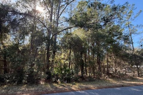 Land in Dunnellon, Florida № 2162489 - photo 3
