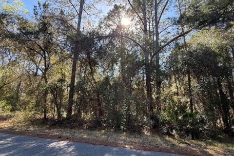 Land in Dunnellon, Florida № 2162489 - photo 6