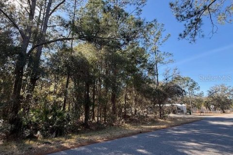 Land in Dunnellon, Florida № 2162489 - photo 4