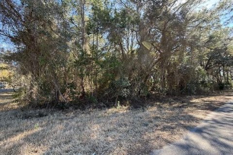 Land in Dunnellon, Florida № 2162489 - photo 9