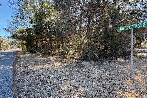 Land in Dunnellon, Florida № 2162489 - photo 11