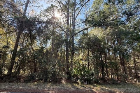 Land in Dunnellon, Florida № 2162489