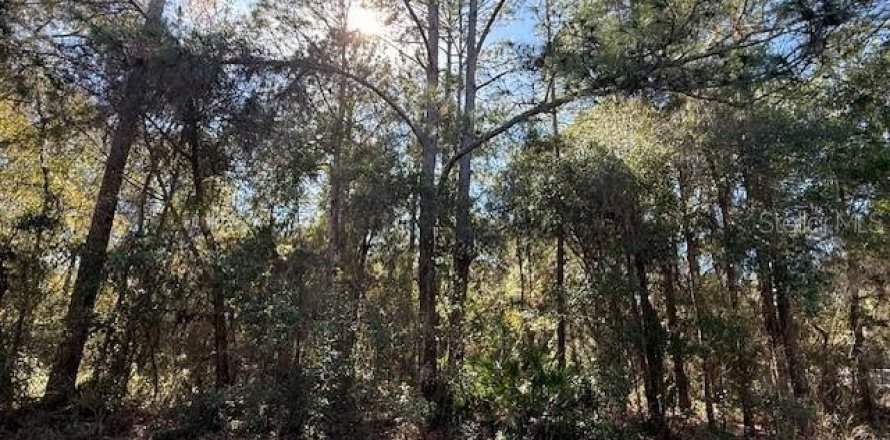 Land in Dunnellon, Florida № 2162489